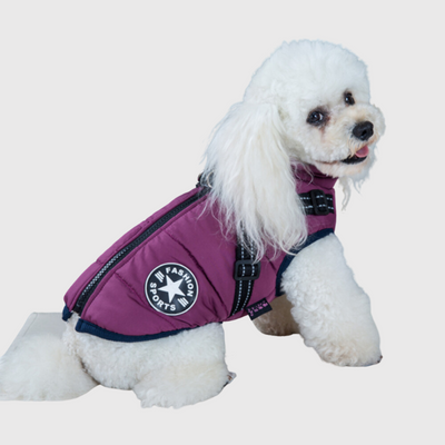 https://cdn.shopify.com/s/files/1/0763/9767/4819/files/Manteau_pour_petit_chien_avec_harnais_integre_modele_chien_violet.png?v=1752236098