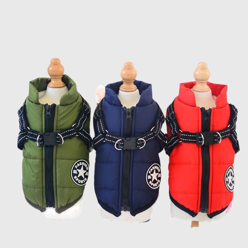 https://cdn.shopify.com/s/files/1/0763/9767/4819/files/Manteau_pour_petit_chien_avec_harnais_integre_modele_vert_bleu_rouge.png?v=1752236098