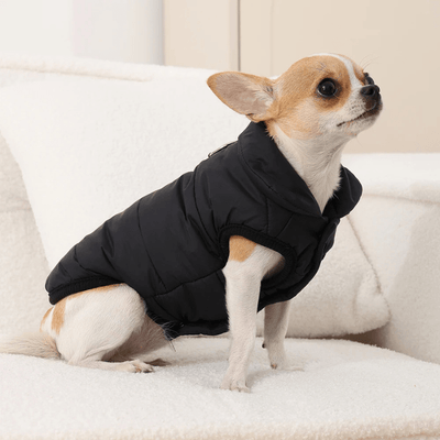https://cdn.shopify.com/s/files/1/0763/9767/4819/files/Manteau_pour_petit_chien_canape.png?v=1759941921