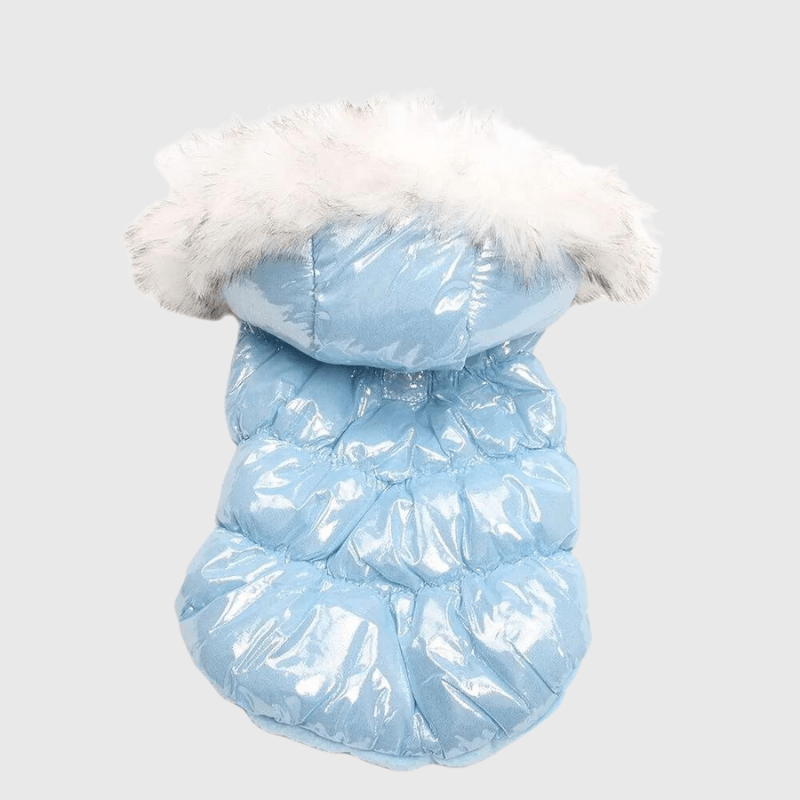 https://cdn.shopify.com/s/files/1/0763/9767/4819/files/Manteau_pour_petit_chien_chihuahua.png?v=1752762059
