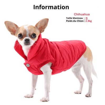 https://cdn.shopify.com/s/files/1/0763/9767/4819/files/Manteau_pour_petit_chien_info_chien.png?v=1759941921