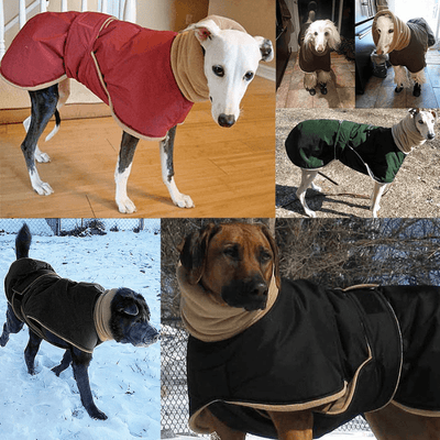 https://cdn.shopify.com/s/files/1/0763/9767/4819/files/Manteau_wouapy_pour_chien_exemple_sur_chien.png?v=1759946387