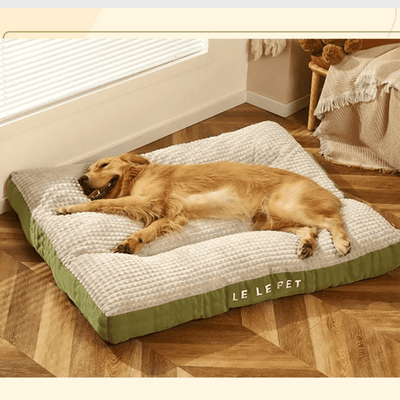 https://cdn.shopify.com/s/files/1/0763/9767/4819/files/Matelas-pour-chien-xxl-2025-confort.png?v=1743004768