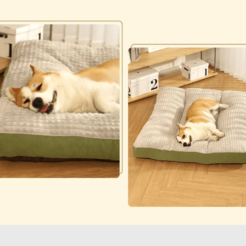 https://cdn.shopify.com/s/files/1/0763/9767/4819/files/Matelas-pour-chien-xxl-2025-shiba-inu.png?v=1743004768