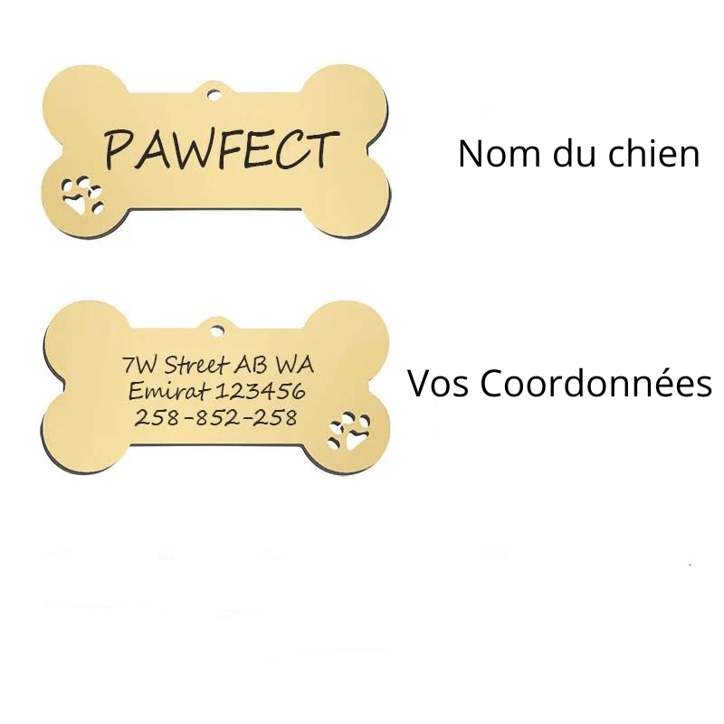 https://cdn.shopify.com/s/files/1/0763/9767/4819/files/Medaille_chien_gravee_description.png?v=1770812282