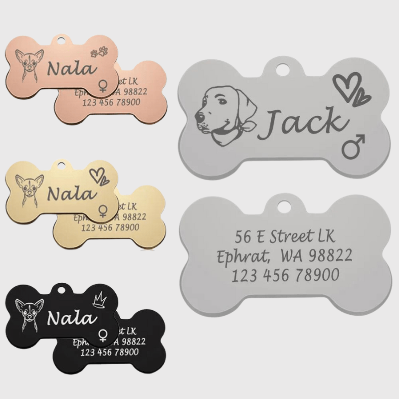 https://cdn.shopify.com/s/files/1/0763/9767/4819/files/Medaille_chien_originale_patte_de_chien_rose.png?v=1770812440