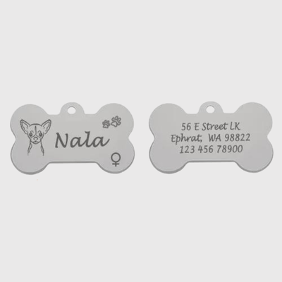 https://cdn.shopify.com/s/files/1/0763/9767/4819/files/Medaille_chien_originale__patte_de_chien_gris.png?v=1770812440