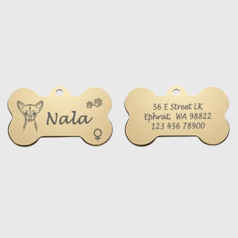 https://cdn.shopify.com/s/files/1/0763/9767/4819/files/Medaille_chien_originale__patte_de_chien_or.png?v=1770812440