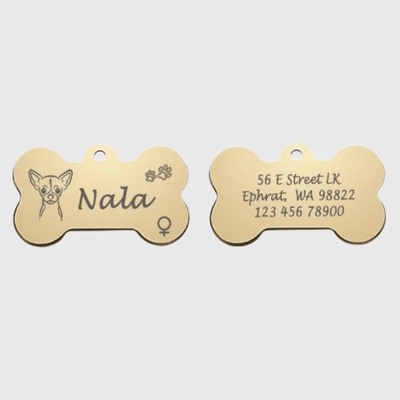 https://cdn.shopify.com/s/files/1/0763/9767/4819/files/Medaille_chien_originale__patte_de_chien_or.png?v=1770812440