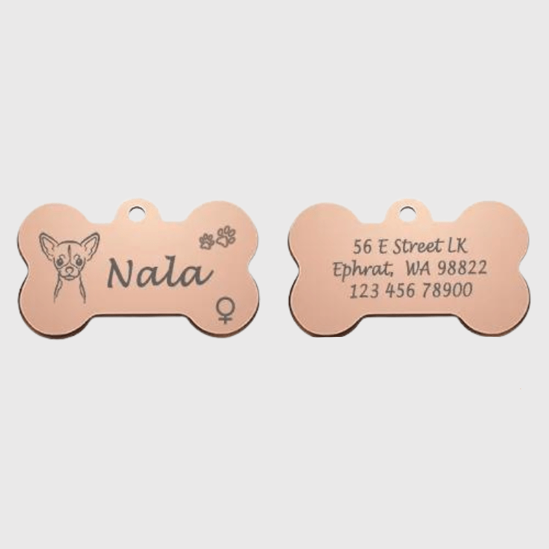 https://cdn.shopify.com/s/files/1/0763/9767/4819/files/Medaille_chien_originale_patte_de_chien_rose.png?v=1770812440