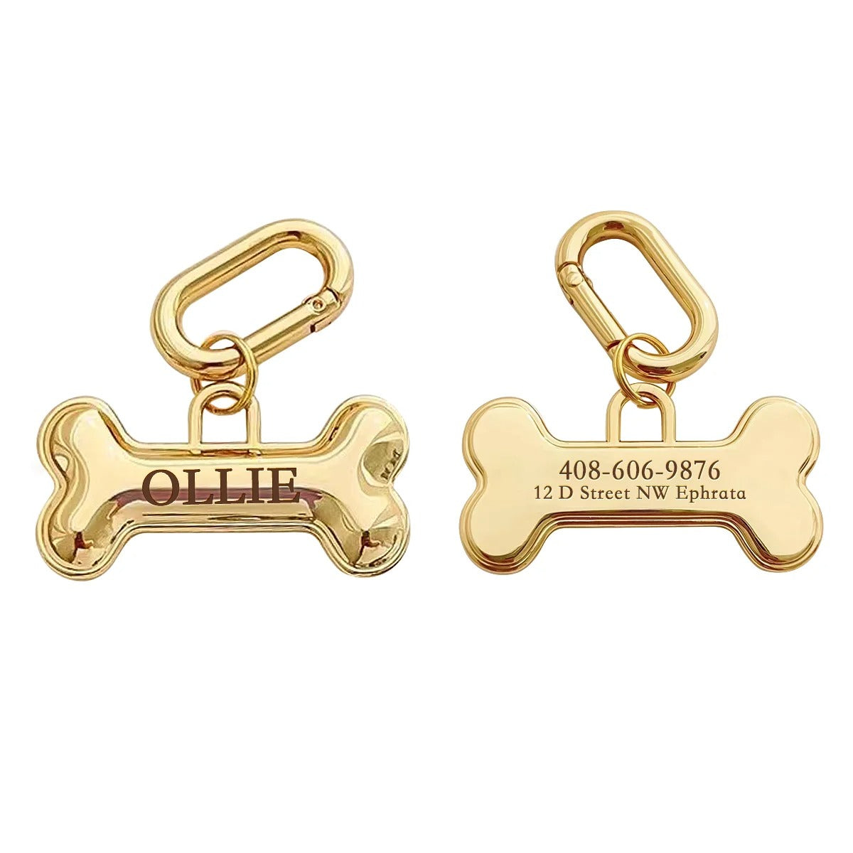 Médaille pour chien