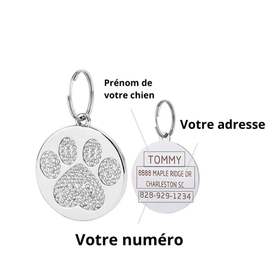 https://cdn.shopify.com/s/files/1/0763/9767/4819/files/Medaille_chien_solide_explitation.png?v=1751382826