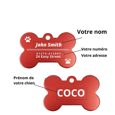 https://cdn.shopify.com/s/files/1/0763/9767/4819/files/Medaille_chien_solide_explitation_bis.png?v=1751382826