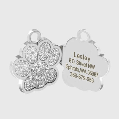 https://cdn.shopify.com/s/files/1/0763/9767/4819/files/Medaille_chien_solide_patte_de_chien_gris.png?v=1751382826