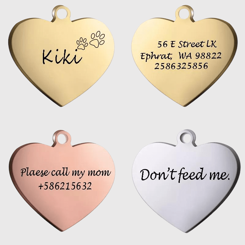https://cdn.shopify.com/s/files/1/0763/9767/4819/files/Medaille_identification_chien_berger.png?v=1728656823