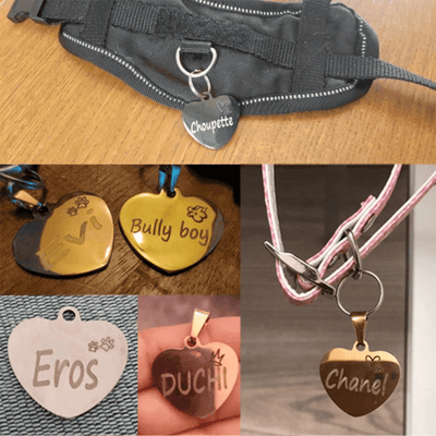 https://cdn.shopify.com/s/files/1/0763/9767/4819/files/Medaille_identification_chien_exemple_collier_harnais.png?v=1728657343