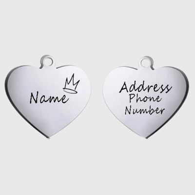 https://cdn.shopify.com/s/files/1/0763/9767/4819/files/Medaille_identification_chien_gris_couronne.png?v=1728656870