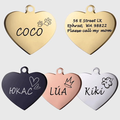 https://cdn.shopify.com/s/files/1/0763/9767/4819/files/Medaille_identification_chien_modele.png?v=1728657358