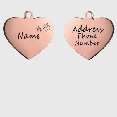 https://cdn.shopify.com/s/files/1/0763/9767/4819/files/Medaille_identification_chien_rose_patte.png?v=1728656941