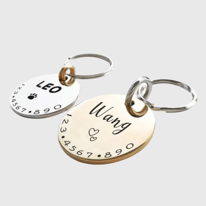 https://cdn.shopify.com/s/files/1/0763/9767/4819/files/Medaille_pour_chien_a_graver_yorkshire.png?v=1751382923