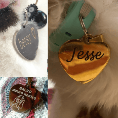 https://cdn.shopify.com/s/files/1/0763/9767/4819/files/Medaille_pour_chien_personnalise_caniche.png?v=1770812572