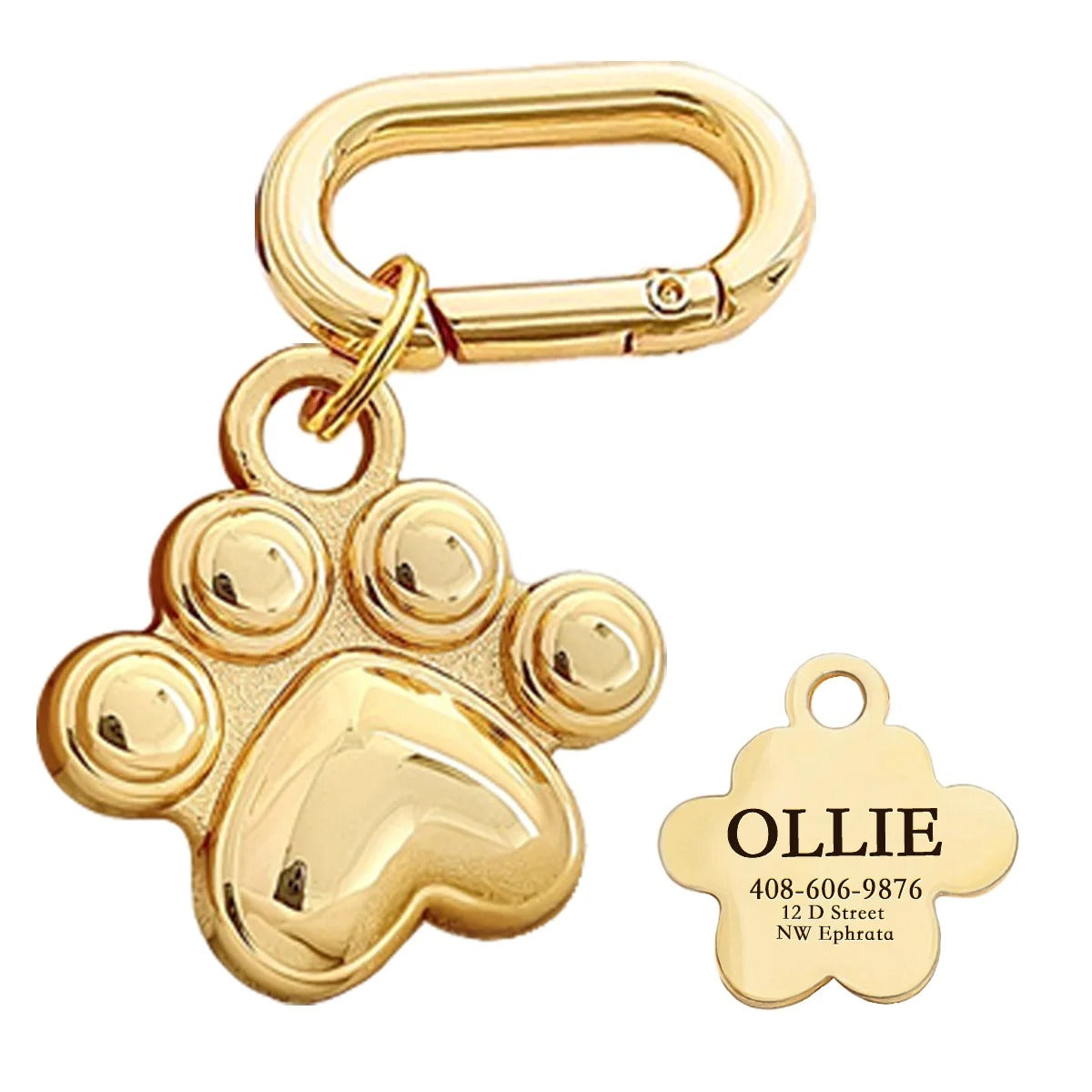 Médaille patte chien à graver - Gros-Chien.com