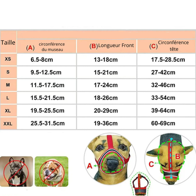https://cdn.shopify.com/s/files/1/0763/9767/4819/files/Museliere_Chihuahua_guide_des_tailles.png?v=1762352177