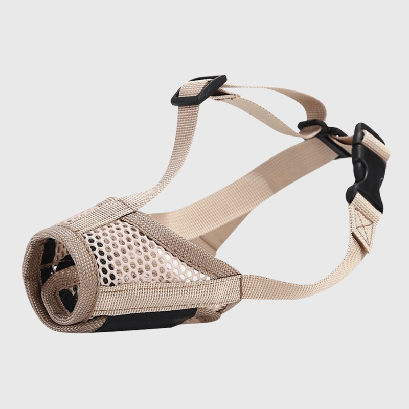 https://cdn.shopify.com/s/files/1/0763/9767/4819/files/Museli_re_pour_chien_Beige_border.png?v=1751383743