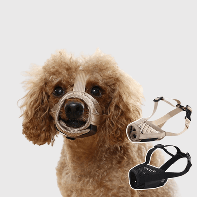 https://cdn.shopify.com/s/files/1/0763/9767/4819/files/Museliere_pour_chien_Beige_caniche.png?v=1751383692