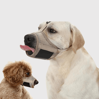 https://cdn.shopify.com/s/files/1/0763/9767/4819/files/Museliere_pour_chien_Beige_labrador.png?v=1751383692