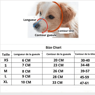 https://cdn.shopify.com/s/files/1/0763/9767/4819/files/Museliere_pour_grand_chien_rouge_taille.png?v=1704461113