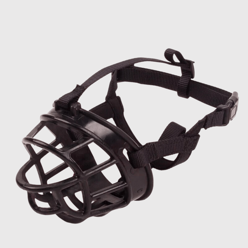 https://cdn.shopify.com/s/files/1/0763/9767/4819/files/Museliere_pour_gros_chien.png?v=1728579838