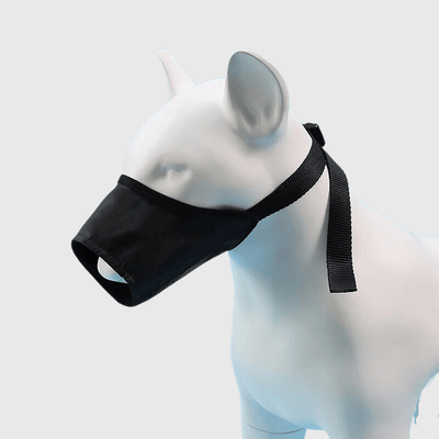 https://cdn.shopify.com/s/files/1/0763/9767/4819/files/Museliere_pour_petit_chien.png?v=1762346555