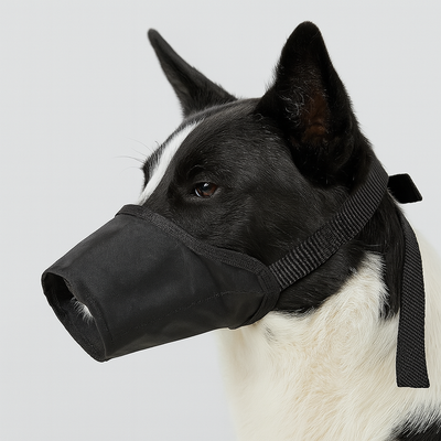https://cdn.shopify.com/s/files/1/0763/9767/4819/files/Museliere_pour_petit_chien_border_collie.png?v=1762346872