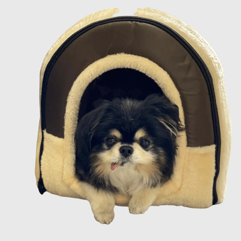 https://cdn.shopify.com/s/files/1/0763/9767/4819/files/Niche_d_interieur_pour_chien_bleue_et_blanche_yorshire.png?v=1744297064