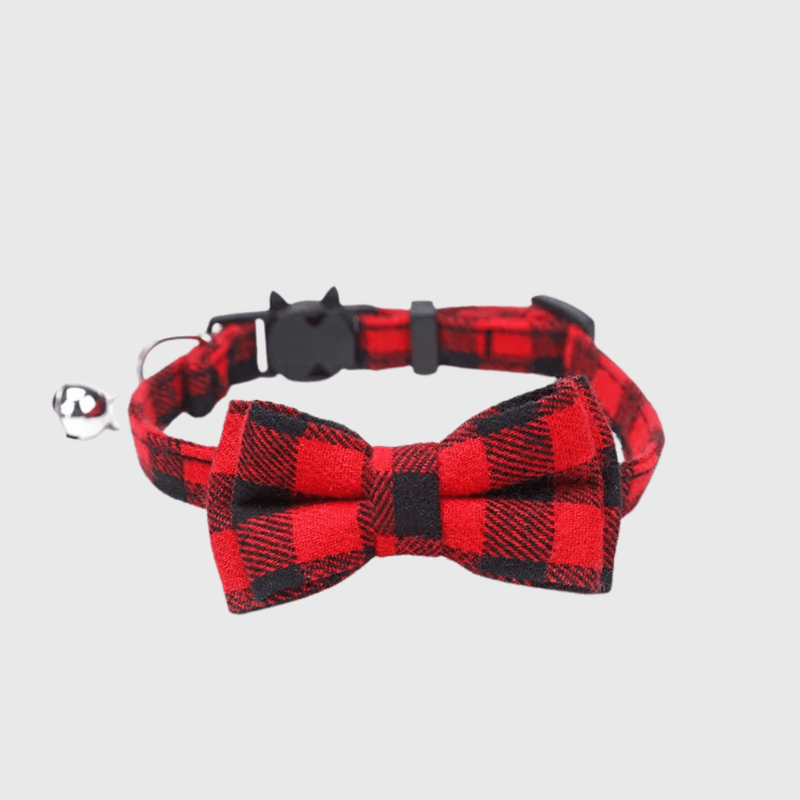 https://cdn.shopify.com/s/files/1/0763/9767/4819/files/Noeud_Papillon_Grand_Chien_sur_chien_berger.png?v=1745852150