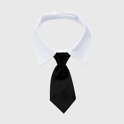 https://cdn.shopify.com/s/files/1/0763/9767/4819/files/Noeud_Papillon_chien_mariage_cravate_noire.png?v=1755701417