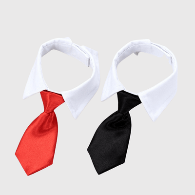 https://cdn.shopify.com/s/files/1/0763/9767/4819/files/Noeud_Papillon_chien_mariage_expo_des_cravates.png?v=1755701417