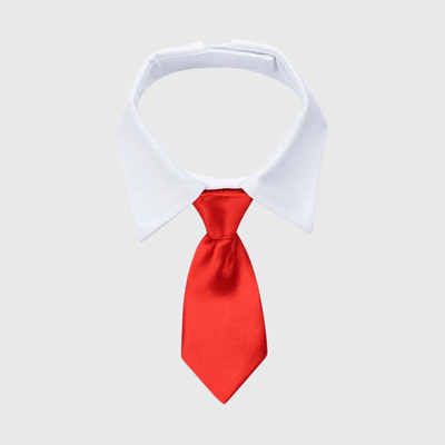 https://cdn.shopify.com/s/files/1/0763/9767/4819/files/Noeud_Papillon_chien_mariage_modele_rouge.png?v=1755701417
