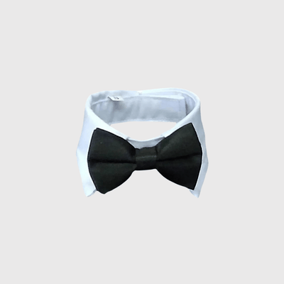 https://cdn.shopify.com/s/files/1/0763/9767/4819/files/Noeud_Papillon_chien_mariage_noir.png?v=1755701417