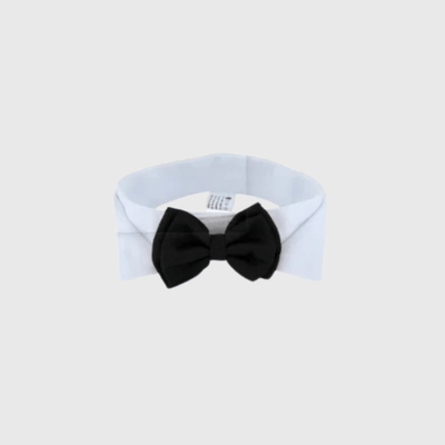 https://cdn.shopify.com/s/files/1/0763/9767/4819/files/Noeud_Papillon_chien_mariage_noir_double.png?v=1745419769