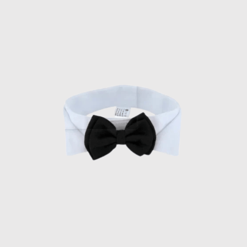 https://cdn.shopify.com/s/files/1/0763/9767/4819/files/Noeud_Papillon_chien_mariage.png?v=1745419723