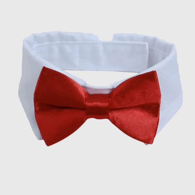 https://cdn.shopify.com/s/files/1/0763/9767/4819/files/Noeud_Papillon_chien_mariage_rouge.png?v=1755701417