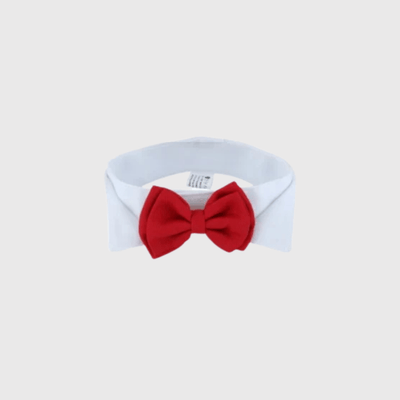 https://cdn.shopify.com/s/files/1/0763/9767/4819/files/Noeud_Papillon_chien_mariage_rouge_double.png?v=1755701417