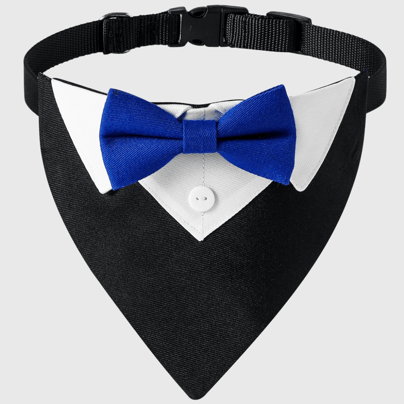 https://cdn.shopify.com/s/files/1/0763/9767/4819/files/ChatGPT_Image_23_avr._2025_17_42_53.png?v=1745423011