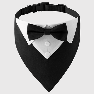 https://cdn.shopify.com/s/files/1/0763/9767/4819/files/Noeud_papillon_chien_Noel_noir.png?v=1745423011