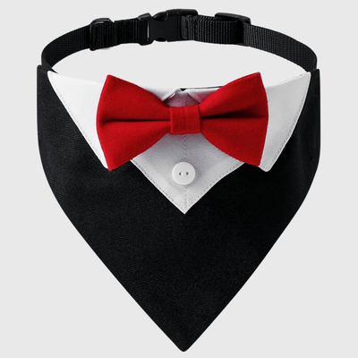 https://cdn.shopify.com/s/files/1/0763/9767/4819/files/Noeud_papillon_chien_Noel_rouge.png?v=1745423011