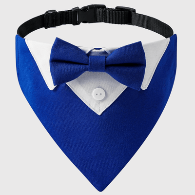 https://cdn.shopify.com/s/files/1/0763/9767/4819/files/Noeud_papillon_chien_Noel_tout_bleu.png?v=1745423009