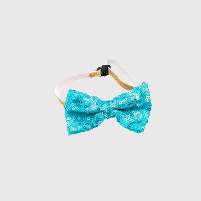https://cdn.shopify.com/s/files/1/0763/9767/4819/files/Noeud_papillon_pour_chien_joyeux_anniversaire_bleu_ciel.png?v=1745851449