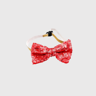 https://cdn.shopify.com/s/files/1/0763/9767/4819/files/Noeud_papillon_pour_chien_joyeux_anniversaire_rouge.png?v=1745851449